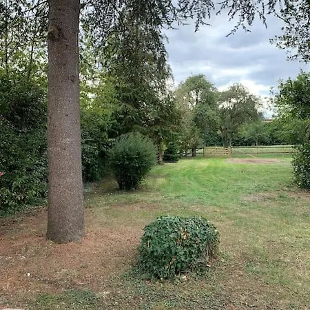 Le Cedre Du Prieure