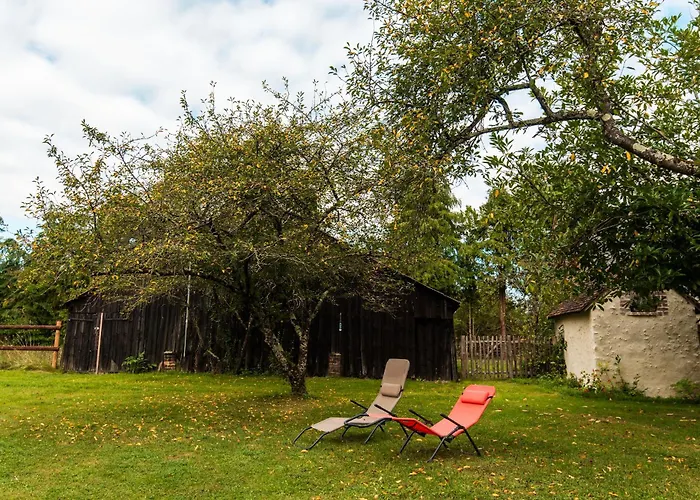 Le Cedre Du Prieure Montreuil-le-Henri